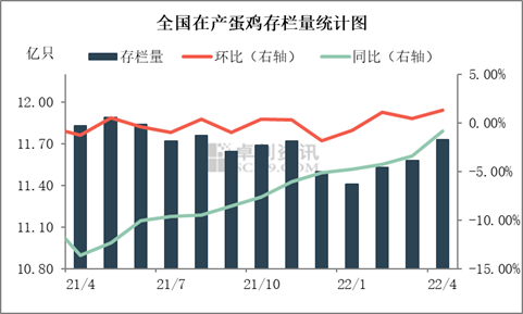 蛋价疯涨至8元/斤，未来蛋价还要走高？