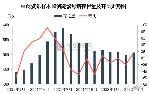 7公斤仔猪每头卖到527元！养殖户积极补栏