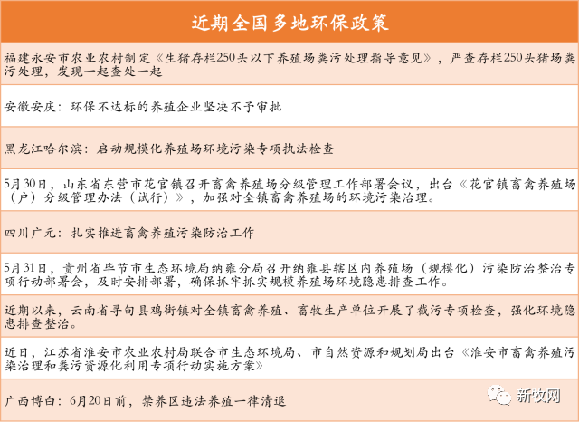 家庭农场变迁史：人人养猪时代一去不复返？