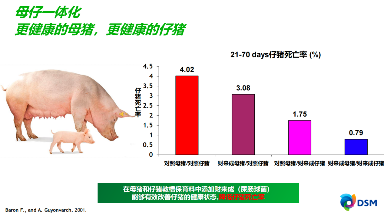 猪价冲向9元/斤！行情回暖，如何做好猪的肠道健康等营养保障？