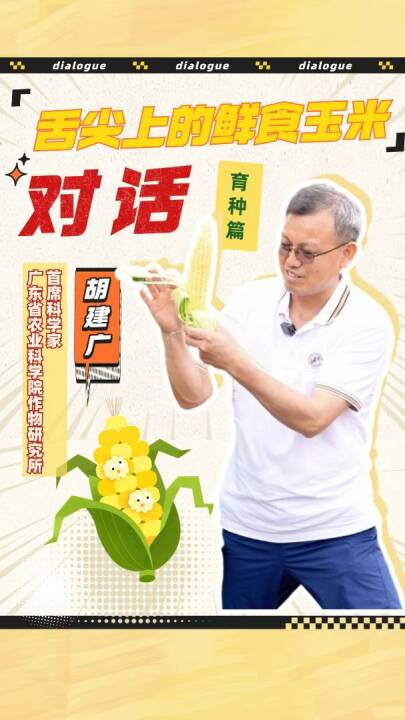 胡建广：目前尚缺乏耐逆境、适合大规模加工的鲜食玉米品种