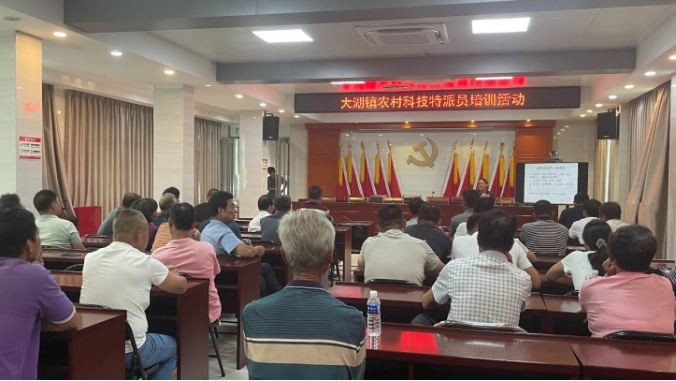 深耕农技赋能乡村振兴  深圳驻海丰大湖镇帮扶工作队科技特派员团队惠农富民