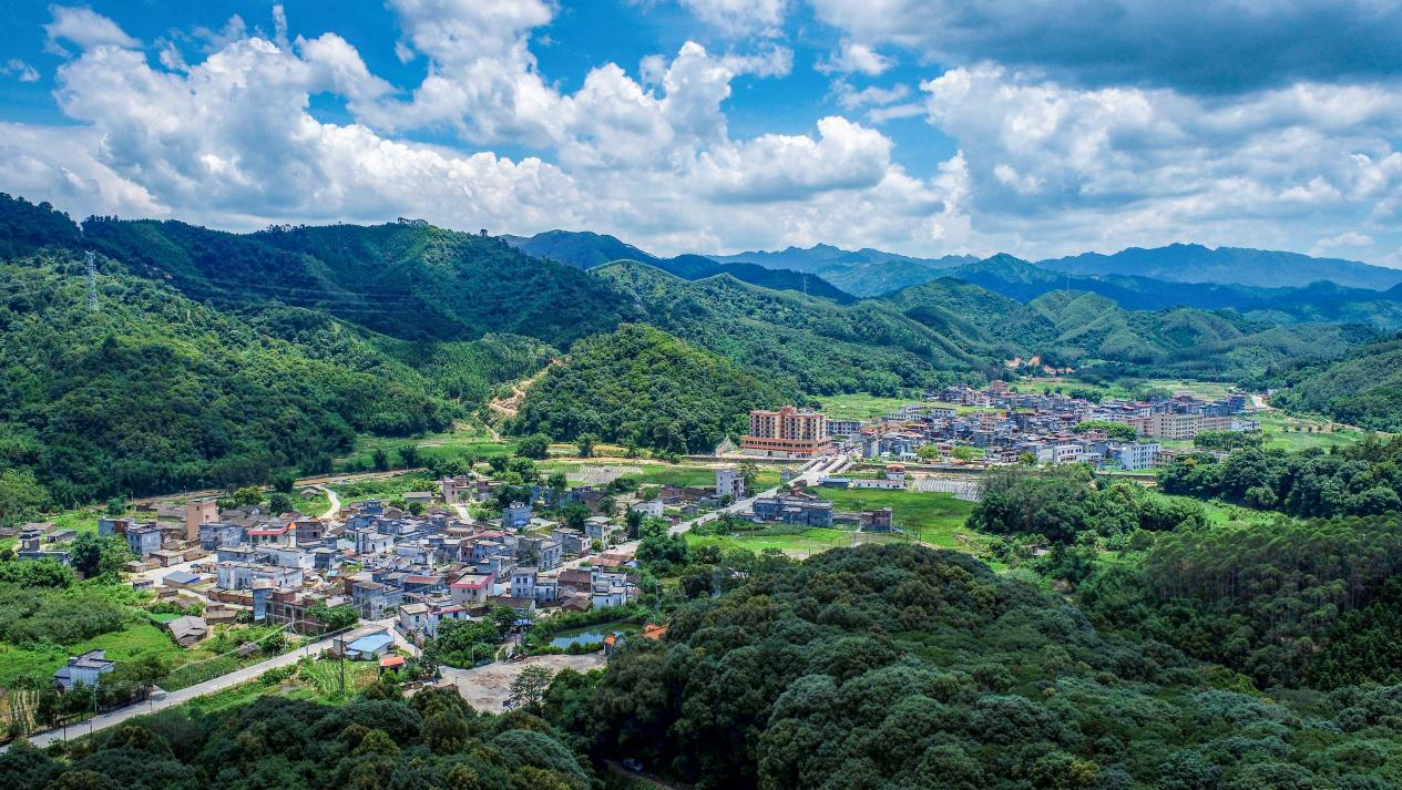 锚定五年新征程 绘就下太新图景——英德市下太镇“我们村（社区）的新征程”五年发展计划全面铺开