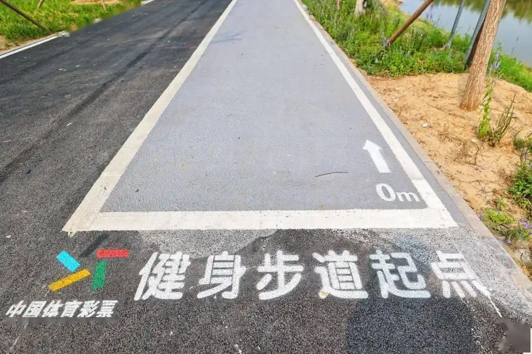2025年彩票公益金使用情况公布  群众体育投入超31亿元